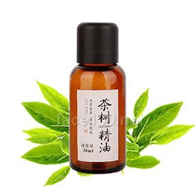 茶樹精油 30ml改善肌膚 控油祛痘招商代理批發